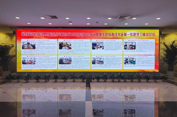 國內(nèi)有哪些COB顯示屏廠家做得比較好的？